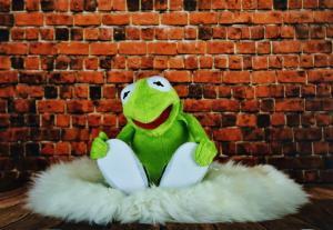 kermit the frog