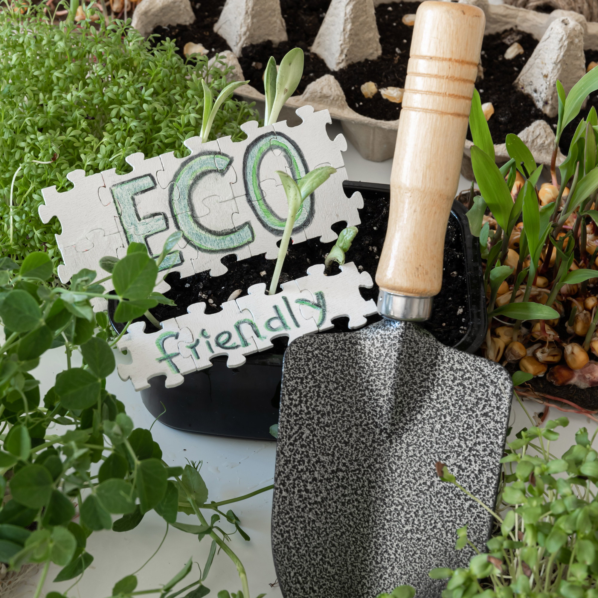 Eco-friendly gardening tools surrounded by green plants and seedlings
