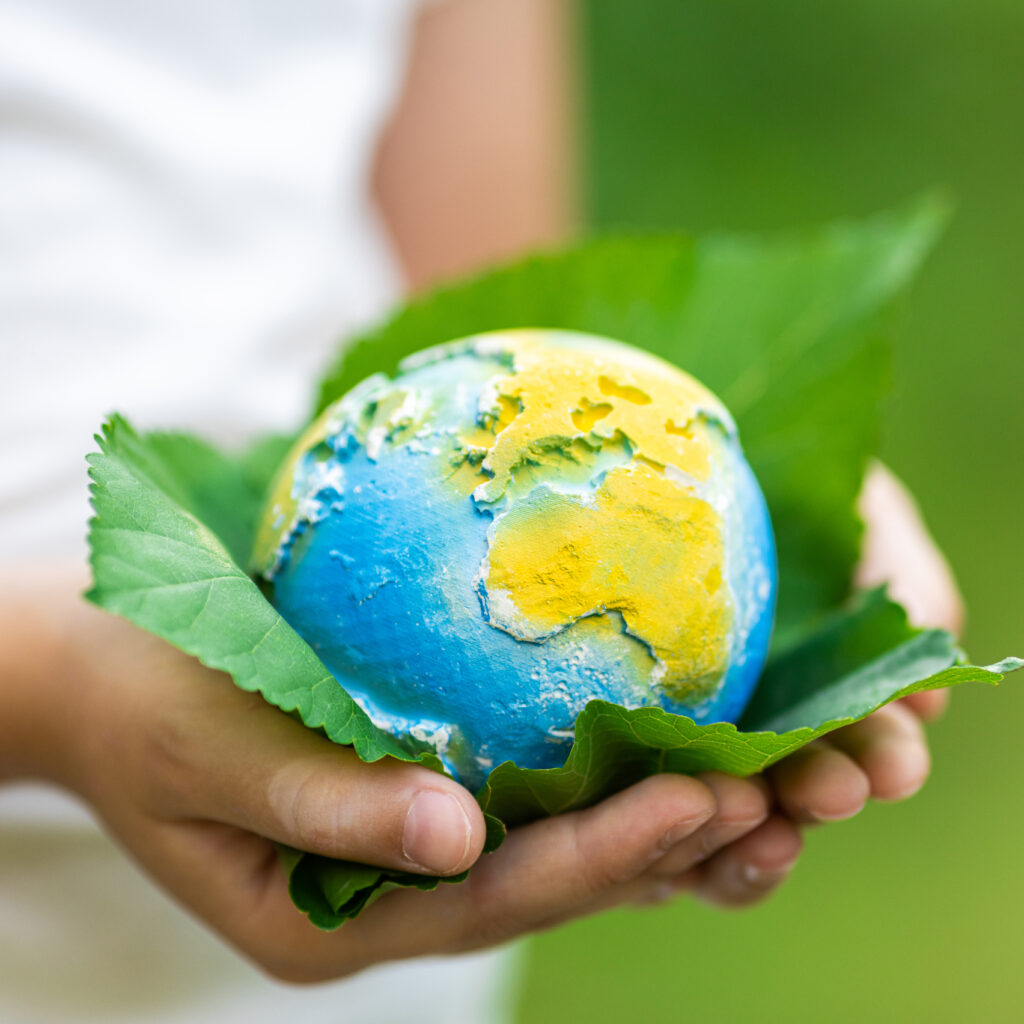 Hands holding a small globe resting on green leaves