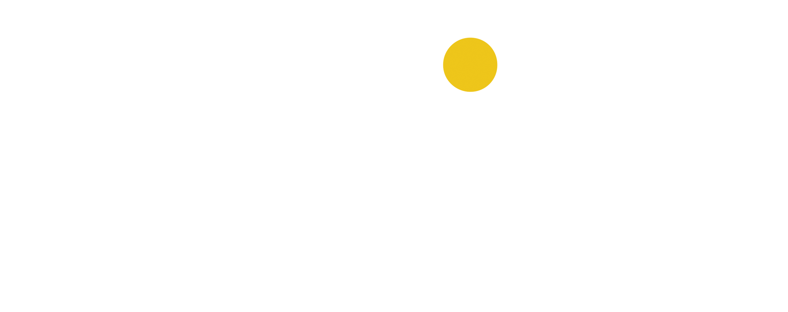 Sudsies Dry Cleaners logo featuring the Sudsies name in bold, modern lettering.