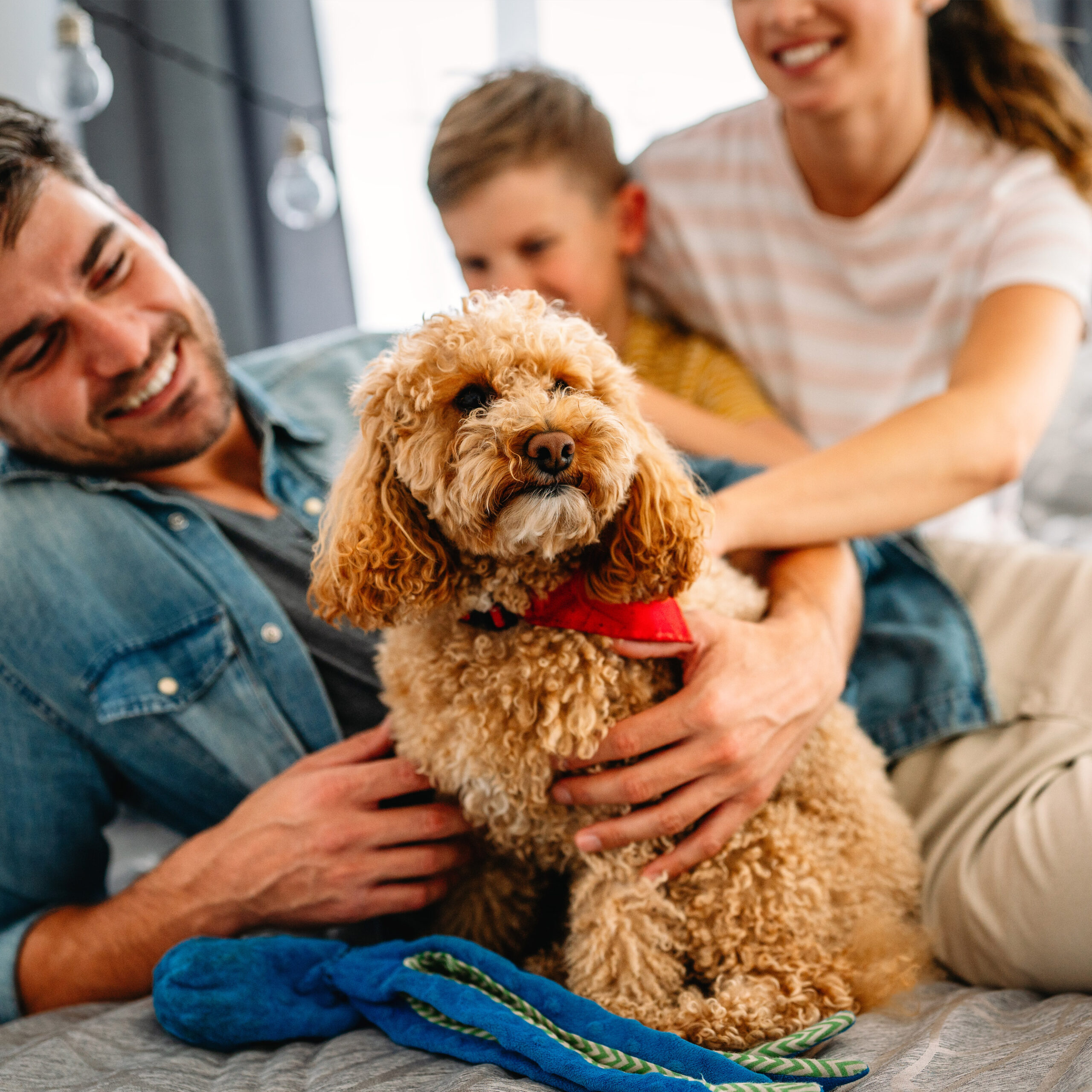 Family with their dog at home, illustrating pet-friendly living and professional pet odor removal from clothing and fabrics