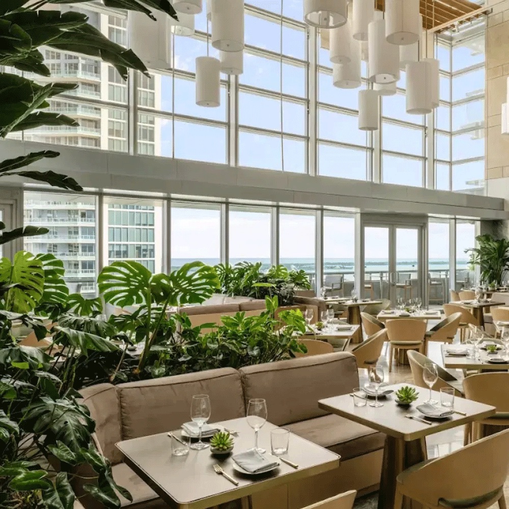 Bright seaside restaurant with plush beige seating, wooden tables, and lush indoor plants, large windows overlook the ocean.